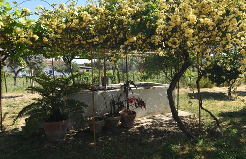 Evoramonte Haus | Monte Évora, se Gosta de Campo