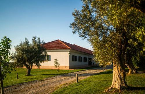 Alcacer do Sal Haus | Monte dos Rolas