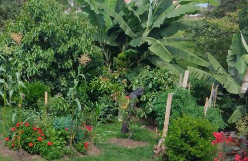 Fusagasuga Wohnung | MonteClaro de Fusa