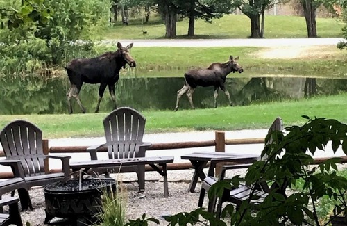 Idaho Falls Hütte | Moonlight Cottage D “Schuss”; Sleeps 5