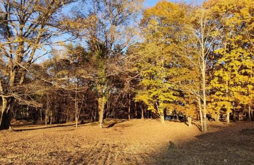 Naganohara-machi Haus | Mori no Komei campsite - Vacation STAY 04454v