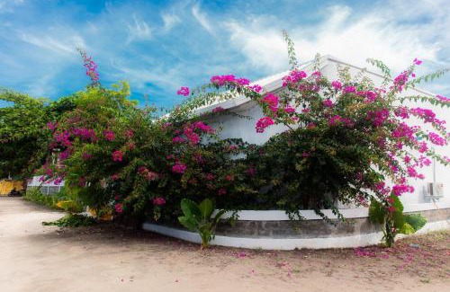 Baa Atoll Haus | Moro Kihaadhoo