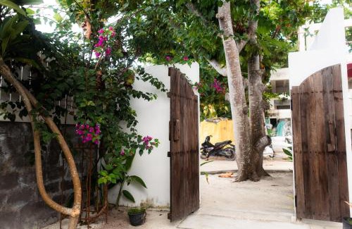 Baa Atoll Haus | Moro Kihaadhoo