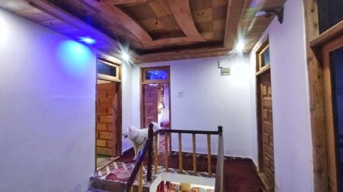 Kumharsain Wohnung | Mountain Bliss - 2BHK Apartment