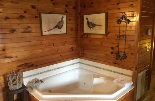 Valley Creek Run Haus | MOUNTAIN JOY COTTAGES # 12 - Gefiederte Freunde