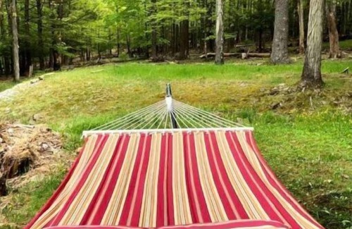 Woodstock Hütte | Mountain view, mid-century style, 1 mile to town!