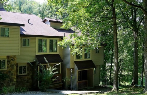 Cheat Lake Haus | Mountainside 2BR Townhouse Near Henry Clay Furnace