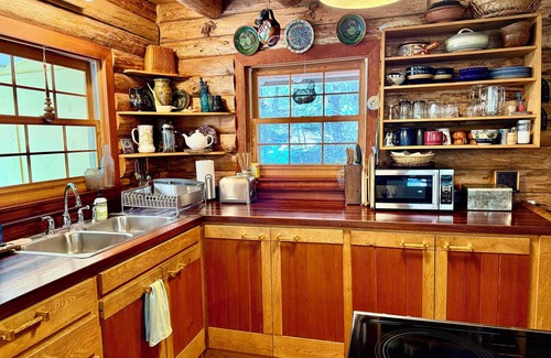 Ashland Haus | Abgeschiedenes Waldblockhaus 15 Minuten nach Ashland