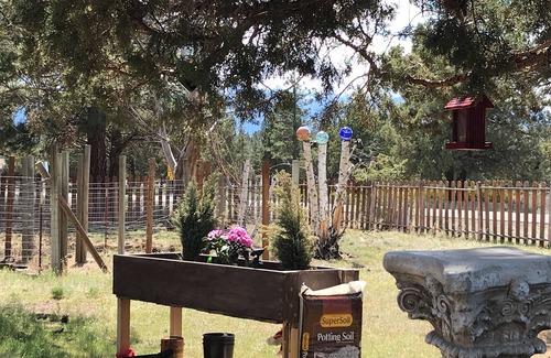 Weed Haus | Mt Shasta, Lake Siskiyou, Montague Balloon Festival - house in peaceful Weed.