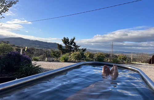 Collingwood Haus | MUDGEE - expansive views, complete privacy, dog friendly holiday cottage