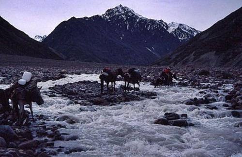 Sarchu Wohnmobilvermietung | Mulkila Adventures - Campsite