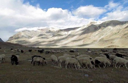 Sarchu Wohnmobilvermietung | Mulkila Adventures - Campsite