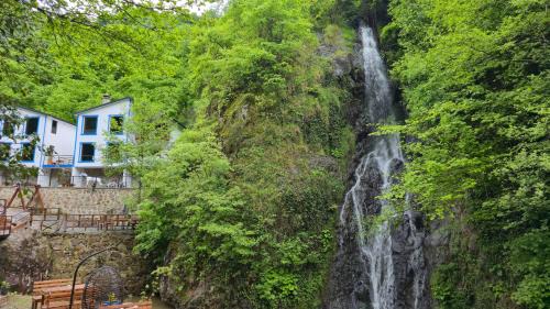 Trabzon Hotel | Muradland منتجع فيلات الوادي الأخضر