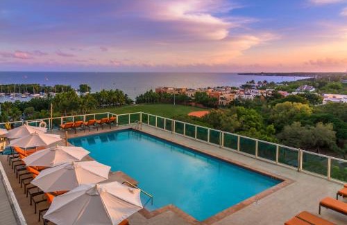 Coconut Grove Hotel | MVR Not a normal suite-An Elevated Miami Stay
