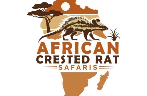 Central Business District Bootsverleih | My car