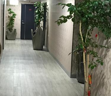 Luodong Hotel | My House Hotel 宜蘭縣旅館280號