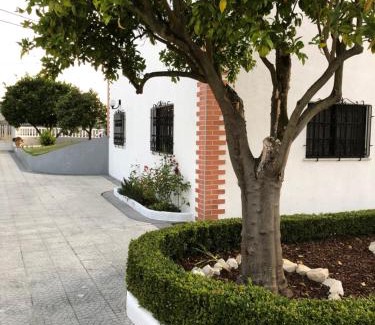 Cantanhede Wohnung | My house in Mira - Cantanhede Mira Beach Cantanhede