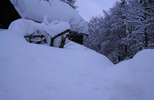 Korenov Haus | Na Sluneční Pohádková chaloupka ve Sladké díře