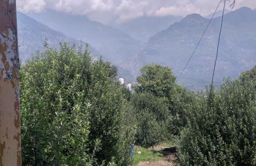 Naggar Haus | Naggar snow view