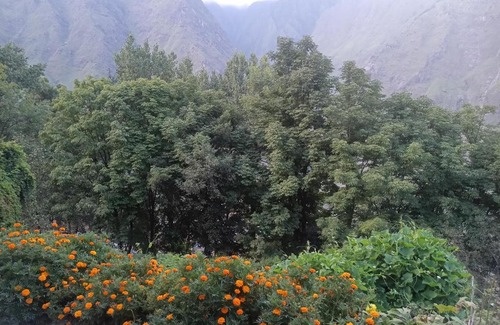 Gobind Dham Haus | Nanda devi