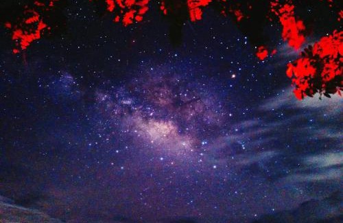 Phrao Haus | Napahong Treehouse นาป่าฮง Andromeda & Cassiopeia