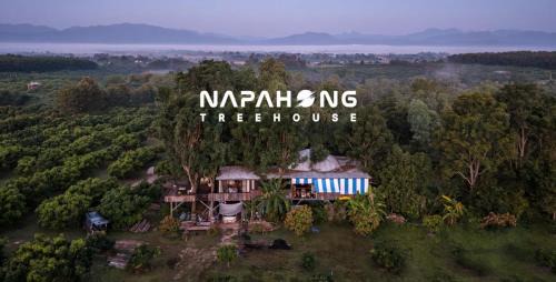 Phrao Haus | Napahong Treehouse นาป่าฮง Andromeda & Cassiopeia