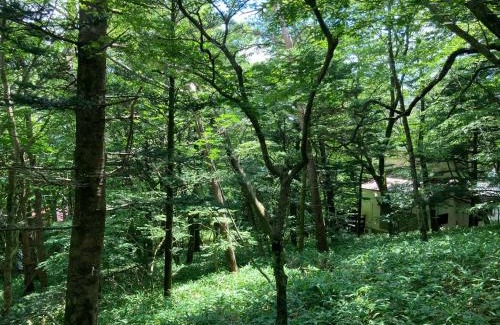 Nasu Haus | Nasu Cottage58 -那須 コテージ58-