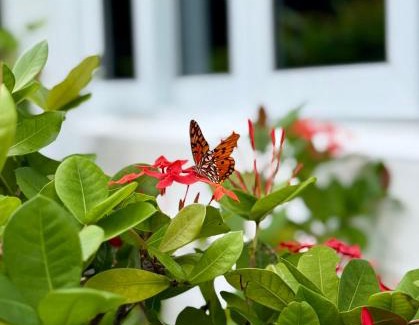 Great Exuma Haus | Natural Mystic Exuma