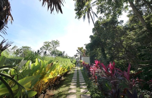 Bongkasa Pertiwi Villa | Naturaly 3 bedroom vila in among of lush green rice field Bali