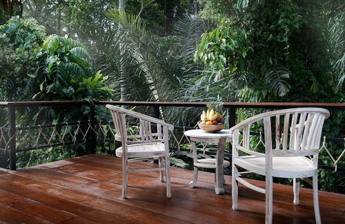 Bongkasa Pertiwi Villa | Naturaly 3 bedroom vila in among of lush green rice field Bali