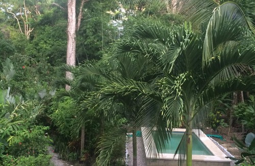 Puerto Jimenez Haus | Naturliebhaber Paradies - 2 BR / 1. 5 Bäder, Pool und Gärten am Strand