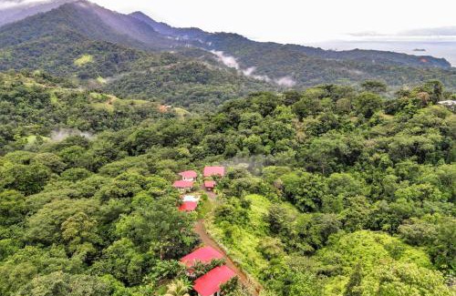 Ballena Kabine | Nature's Edge Boutique Hotel