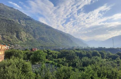 Manali Haus | Nature's Paradise Dobhi @ Manali