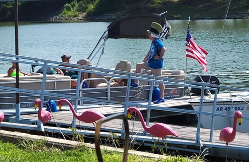 Lake Village Kabine | Nature's Playground: Your Front Yard is Lake Chicot!