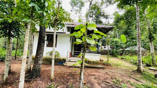 Kuzhithurai Sonstige | Natures Lap