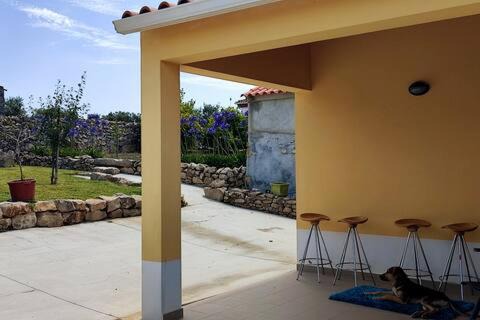 Alcobaca Haus | Nazaré WSL Experience 2025
