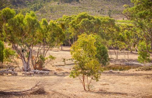 Emu Flat Kabine | Neagles Retreat Villas