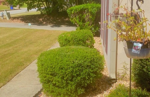 Covington Haus | Neat family home for large group