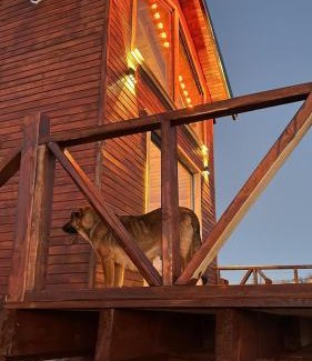 Kabaduz Skihütte | Nest Çambaşı Bungalow Ordu