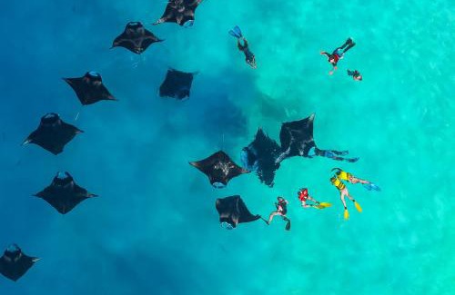 Kamadhoo Hotel | Nest by Hawks Hotels Kamadhoo Baa Atoll