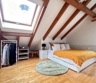 Winterthur Wohnung | Neu! Gemütliche 2,5 Zimmer Wohnung in Winterthur