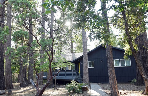 Glencoe Kabine | "NEW" AC, Wineries, BBQ, Game Room, Fire Pit, Cozy & Forest View