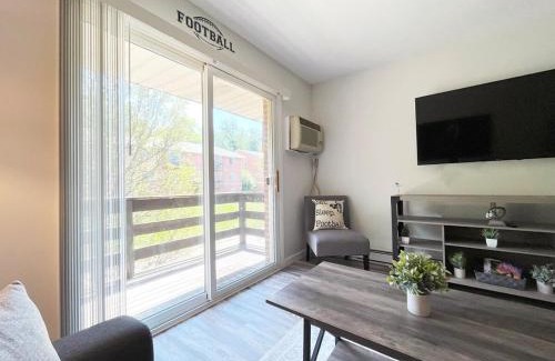 Canton Wohnung | New Hof Apt! -balcony - Pet Friendly - Sleeps 4