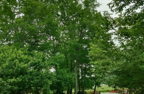 Ronda Kabine | NEW LISTING! Cleo's Village Tiny Home by RedAwning