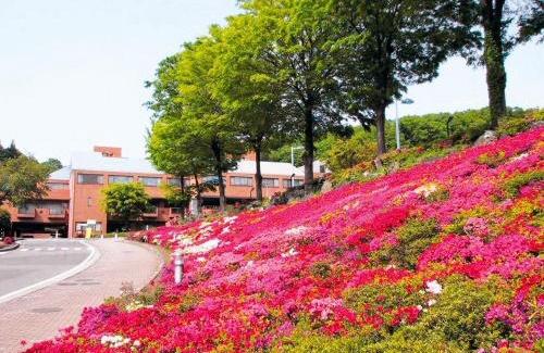 Ogose Hotel | New Sunpia Saitama Ogose