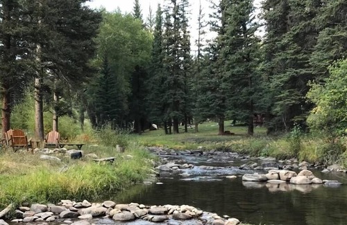 Almont Haus | Newly Renovated Creekside Cabin!