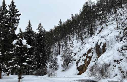 Almont Haus | Newly Renovated Creekside Cabin!