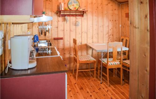 Vinje Haus | Nice Home In Rauland With Kitchen