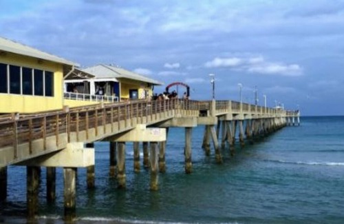 Dania Beach Wohnung | Schöne Studio Suite - Minuten von allem entfernt