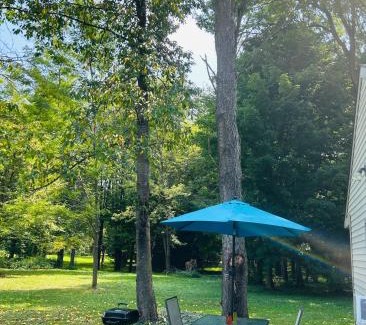 Fenton Haus | Nickz Cozy Cabin